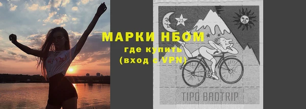 гидра Алексин