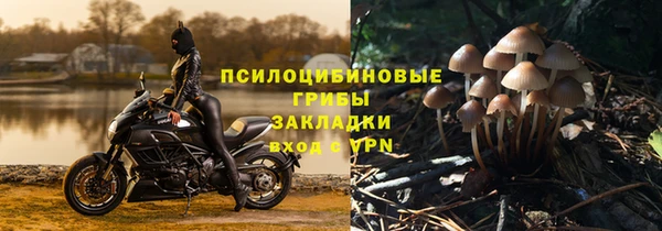 ECSTASY Абаза
